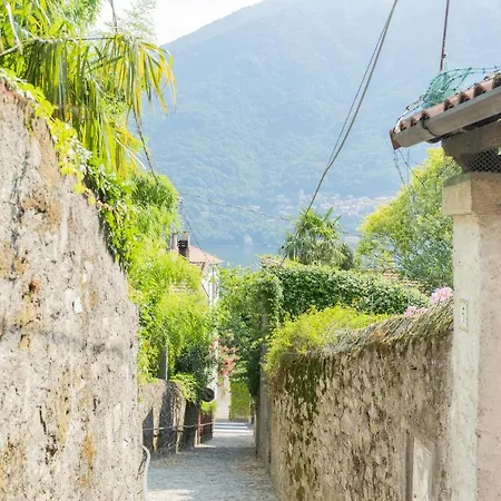 Appartamento P Terrace - View By Rent *